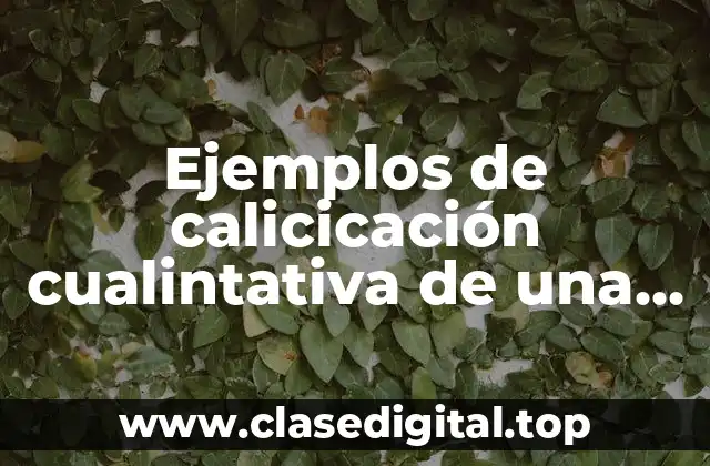 Ejemplos de calicicación cualintativa de una tarea