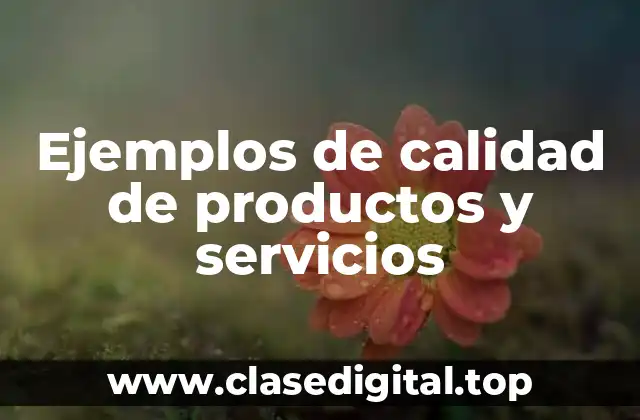 Ejemplos de calidad de productos y servicios