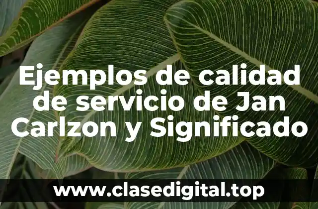 Ejemplos de calidad de servicio de Jan Carlzon y Significado