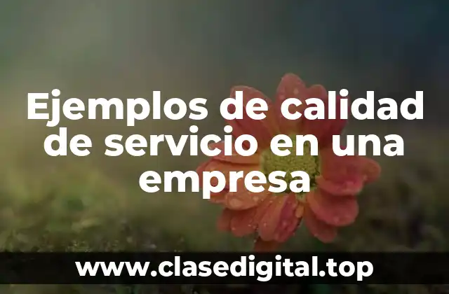 Ejemplos de calidad de servicio en una empresa