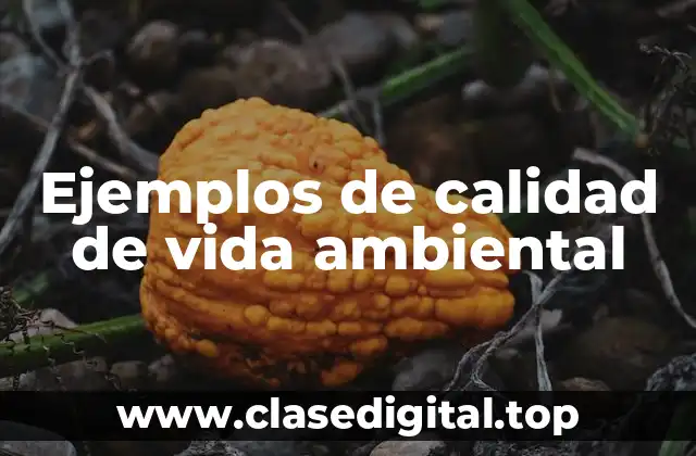 Ejemplos de calidad de vida ambiental