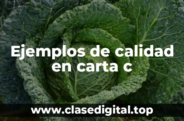 Ejemplos de calidad en carta c