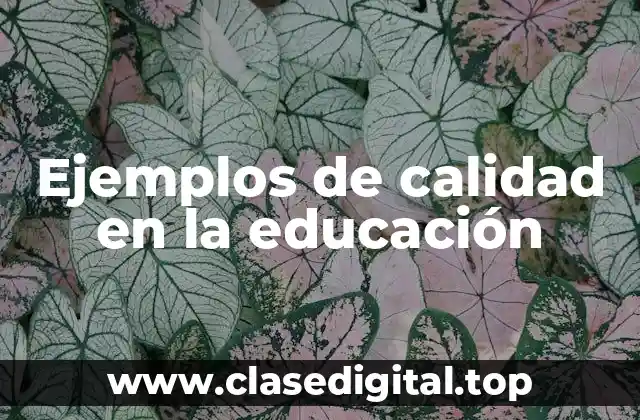 Ejemplos de calidad en la educación