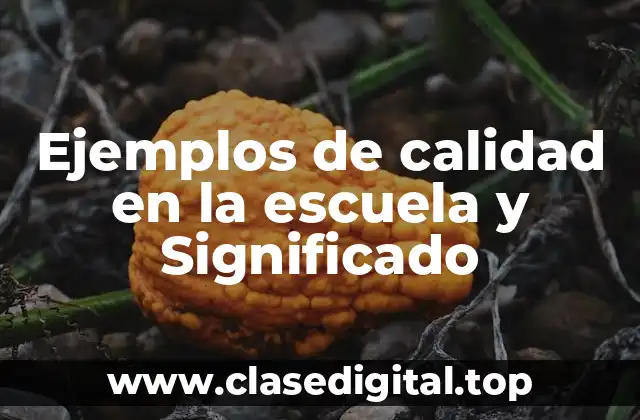 Ejemplos de calidad en la escuela y Significado