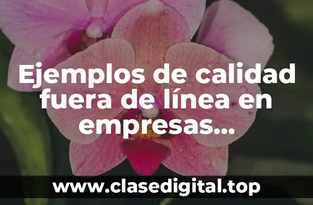 Ejemplos de calidad fuera de línea en empresas manufactureras