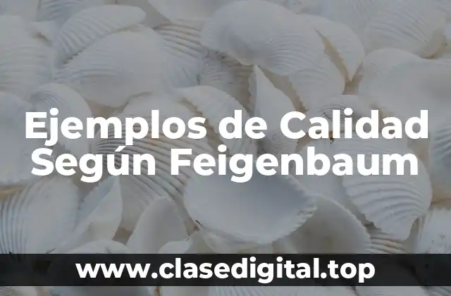 Ejemplos de Calidad Según Feigenbaum