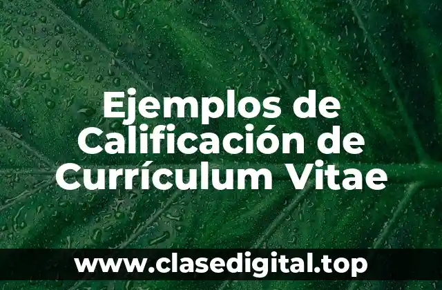 Ejemplos de Calificación de Currículum Vitae