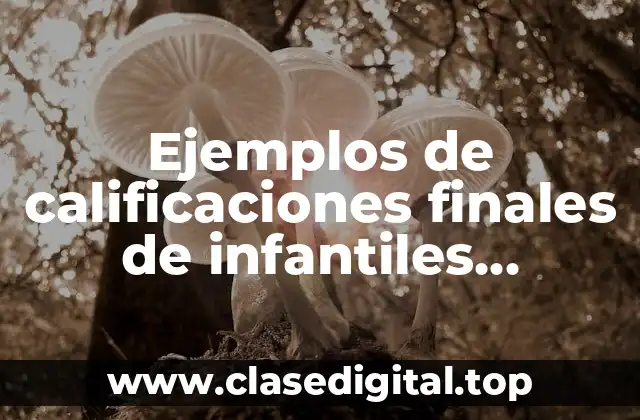 Ejemplos de calificaciones finales de infantiles primaria