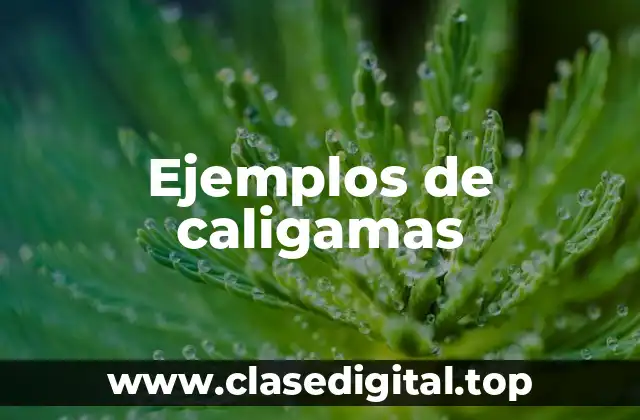 Ejemplos de caligamas