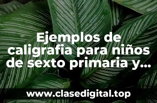 Ejemplos de caligrafia para niños de sexto primaria y Significado