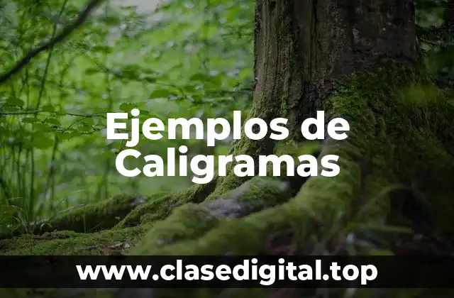 Ejemplos de Caligramas