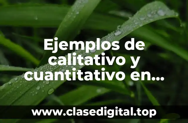 Ejemplos de calitativo y cuantitativo en química y Significado