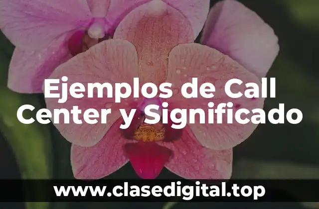 Ejemplos de Call Center