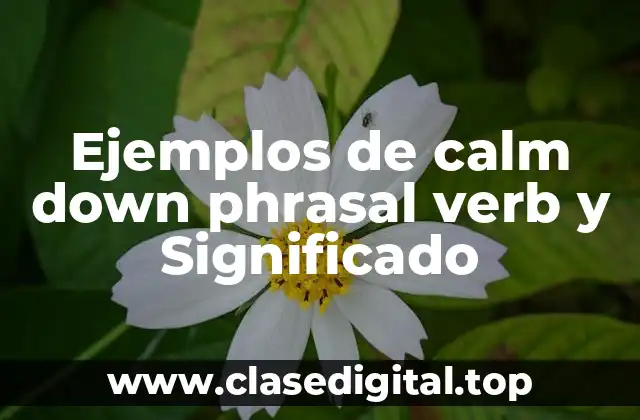 Ejemplos de calm down phrasal verb y Significado