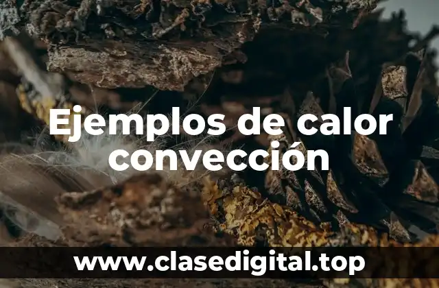 Ejemplos de calor convección