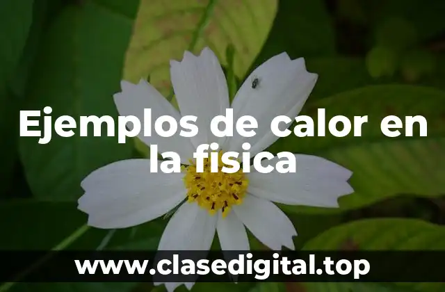 Ejemplos de calor en la fisica