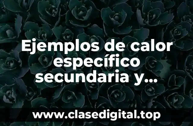 Ejemplos de calor específico secundaria y Significado