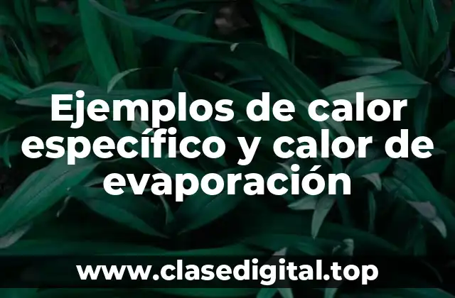 Ejemplos de calor específico y calor de evaporación