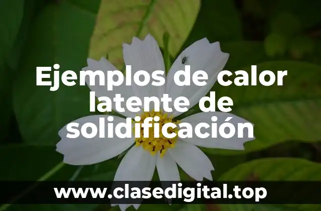 Ejemplos de calor latente de solidificación