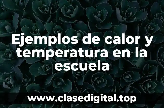 Ejemplos de calor y temperatura en la escuela