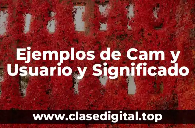 Ejemplos de Cam y Usuario y Significado