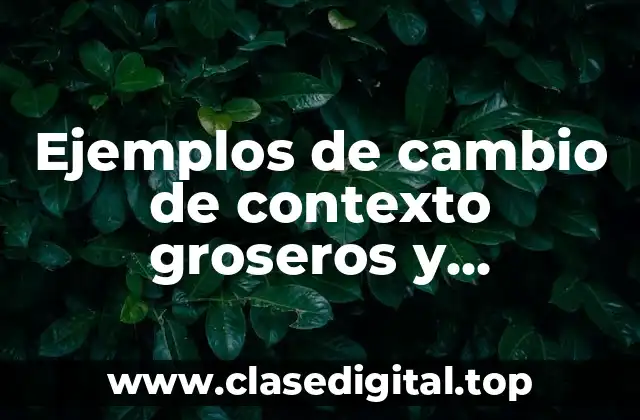 Ejemplos de cambio de contexto groseros y Significado