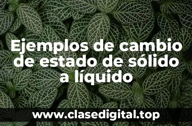 Ejemplos de cambio de estado de sólido a líquido