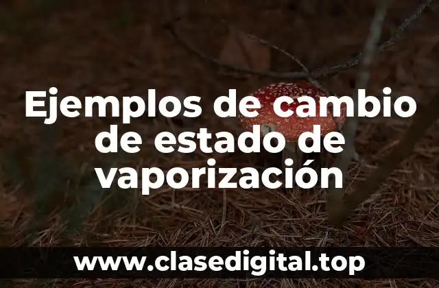 Ejemplos de cambio de estado de vaporización