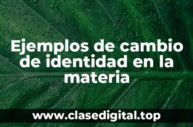 Ejemplos de cambio de identidad en la materia