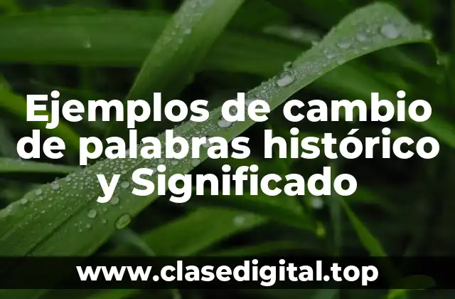 Ejemplos de cambio de palabras histórico y Significado