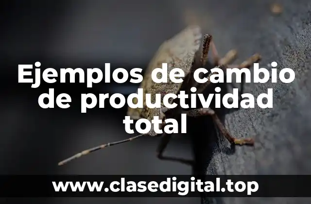 Ejemplos de cambio de productividad total