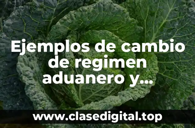 Ejemplos de cambio de regimen aduanero y Significado