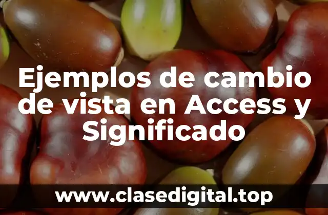 Ejemplos de cambio de vista en Access y Significado