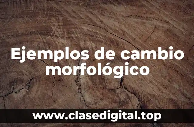 Ejemplos de cambio morfológico