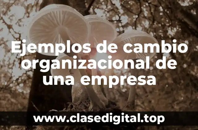 Ejemplos de cambio organizacional de una empresa