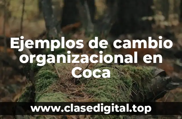 Ejemplos de cambio organizacional en Coca