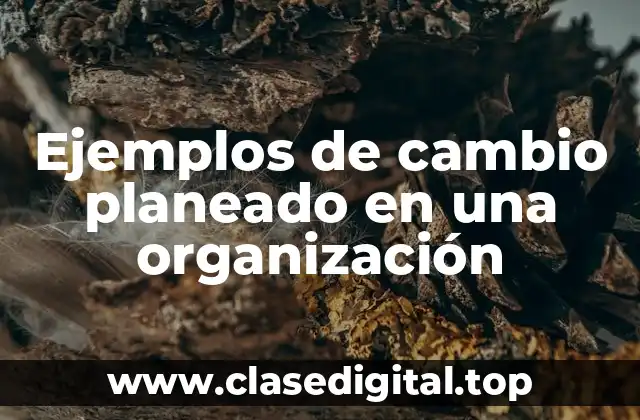 Ejemplos de cambio planeado en una organización