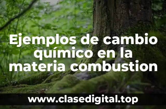 Ejemplos de cambio químico en la materia combustion