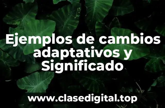 Ejemplos de cambios adaptativos