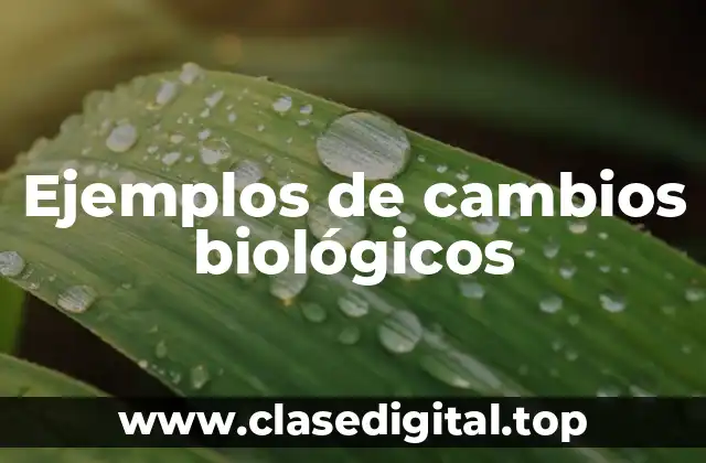 Ejemplos de cambios biológicos