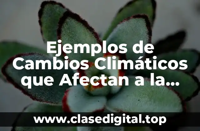 Ejemplos de Cambios Climáticos que Afectan a la Biodiversidad y Significado