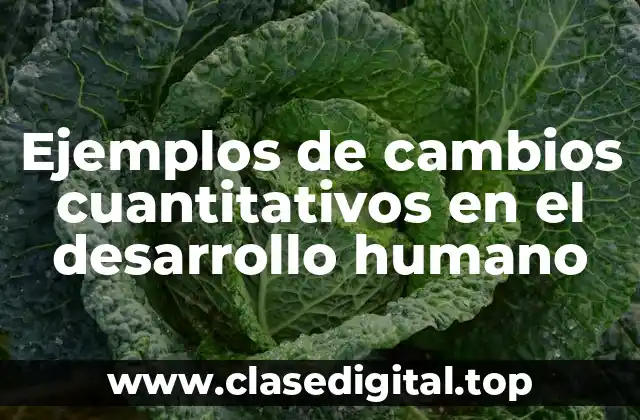 Ejemplos de cambios cuantitativos en el desarrollo humano