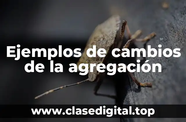 Ejemplos de cambios de la agregación