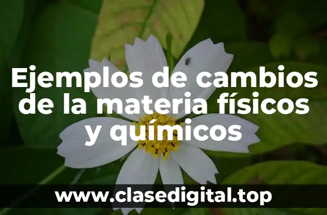 Ejemplos de cambios de la materia físicos y químicos