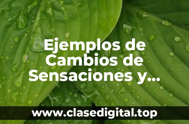 Ejemplos de Cambios de Sensaciones y Significado