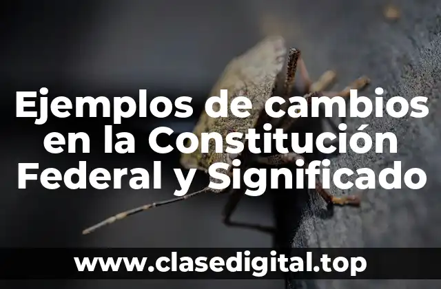 Ejemplos de cambios en la Constitución Federal y Significado