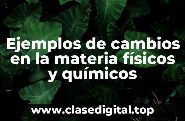 Ejemplos de cambios en la materia físicos y químicos