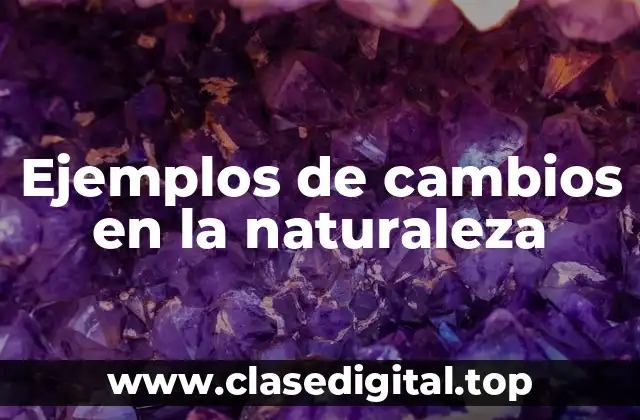 Ejemplos de cambios en la naturaleza