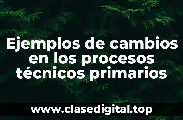 Ejemplos de cambios en los procesos técnicos primarios
