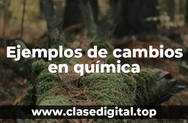 Ejemplos de cambios en química
